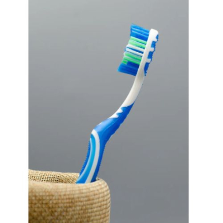 Yardlie Premium's Perkins 6x Fresh Clean Toothbrush In Pakistan