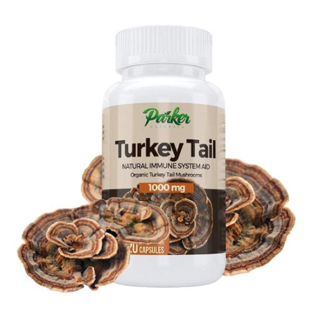 Turkey Tail Mushroom Capsules Price In Pakistan